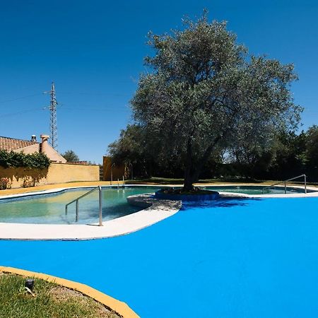 Apartamento Las Brisas I บาเลนกินา เด ลา กอนเซปซิออน ภายนอก รูปภาพ